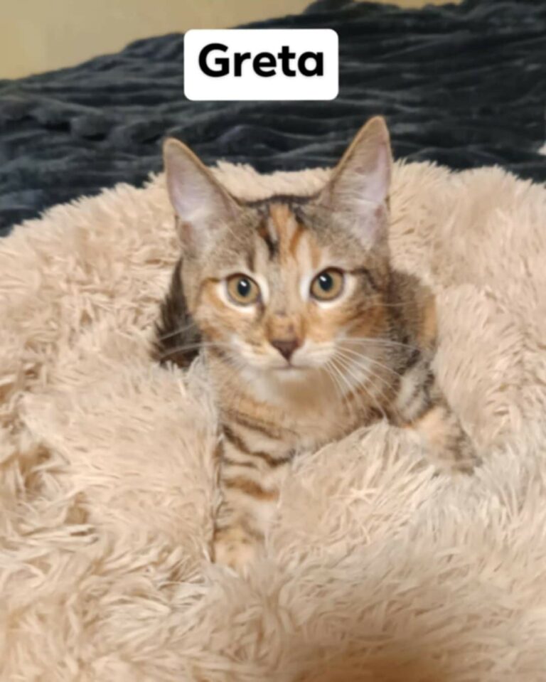 GRETA