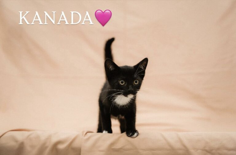 kanada