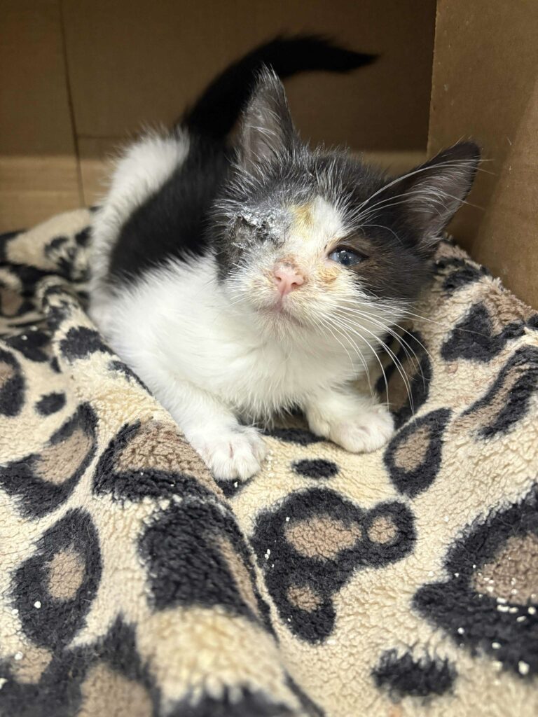 e2b1b894-7a24-41a9-8d9b-2936dbbbf8f0