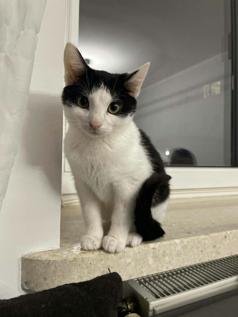 0c4a7306-3b96-430e-90c4-c75e7ed45c13