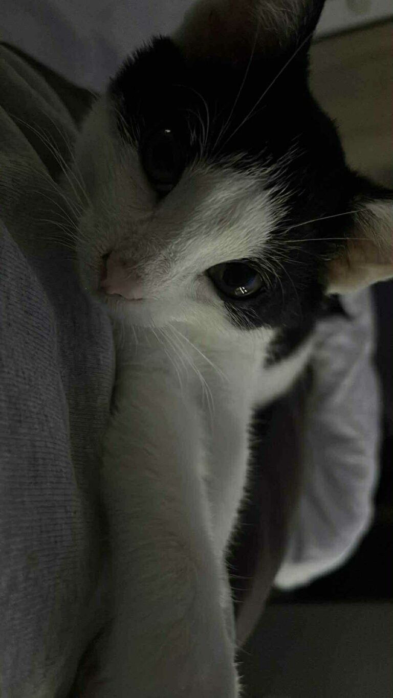 3453bf9a-7b71-4ec8-aae6-830db4f0fe2e