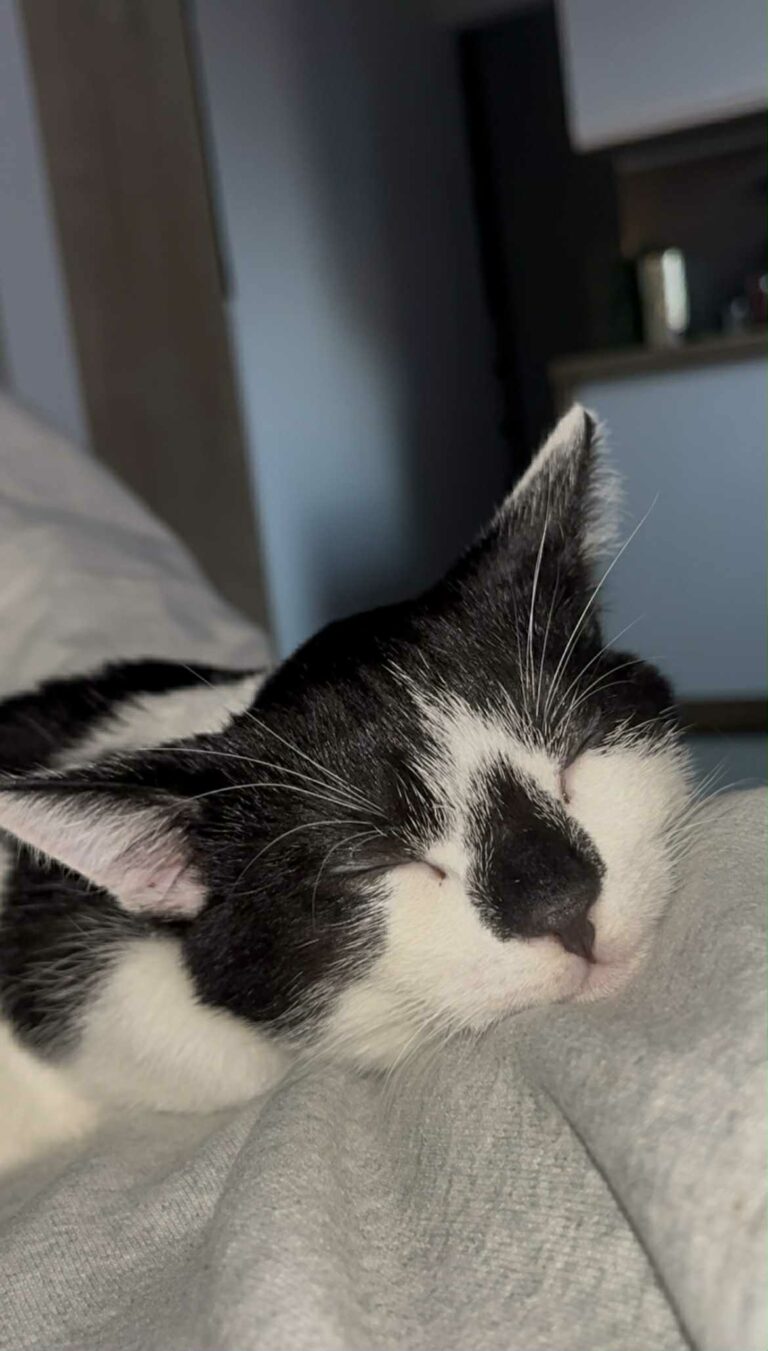 51eefcbb-f2a8-4792-8eca-dc7948bfa5ad