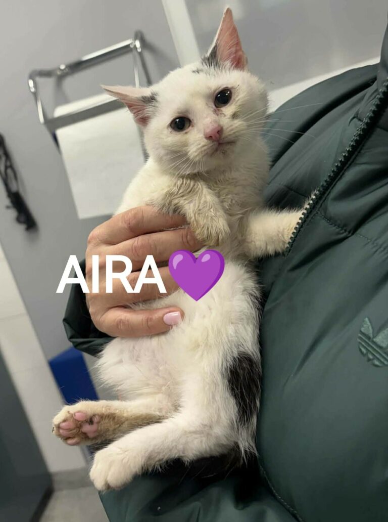 aira