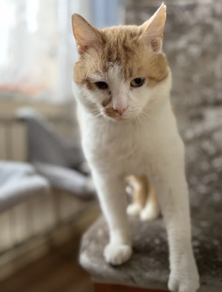 Screenshot 2026-02-24 at 21.13.19