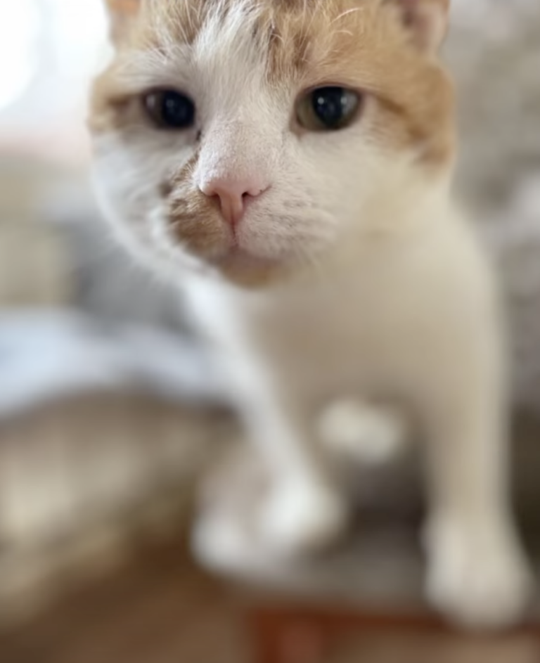 Screenshot 2026-02-24 at 21.13.31