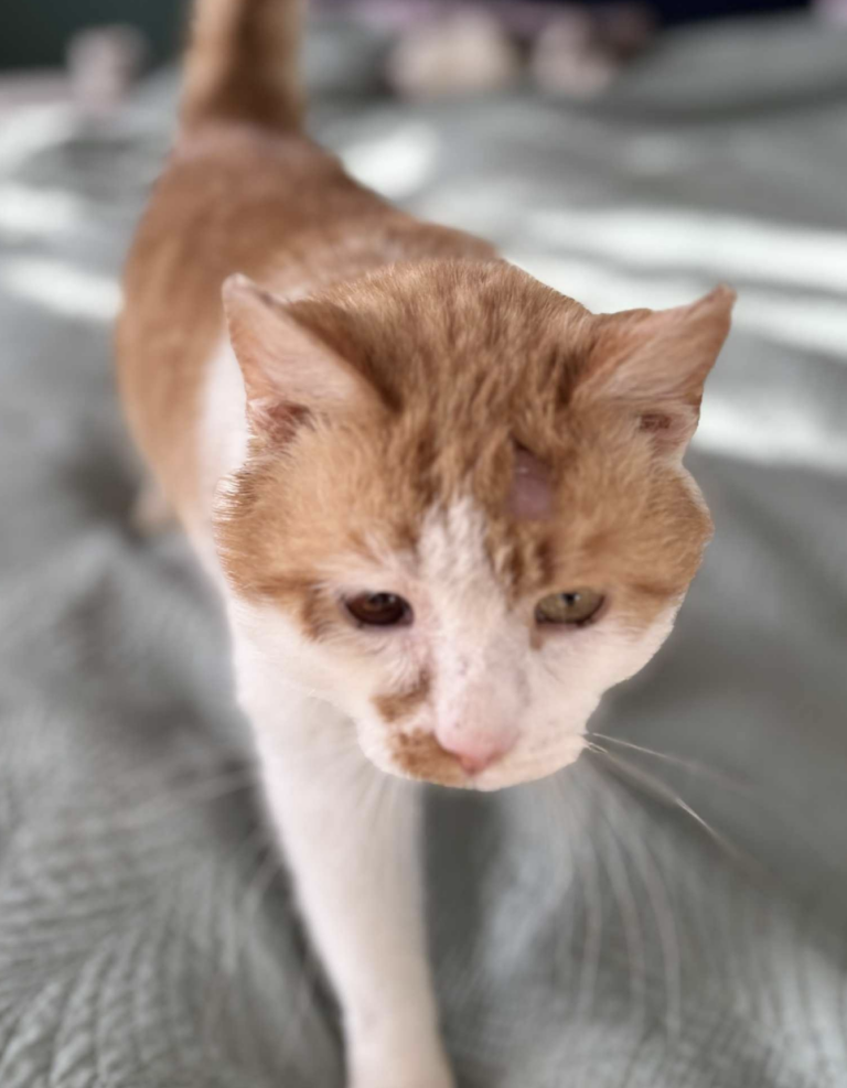 Screenshot 2026-02-24 at 21.14.39