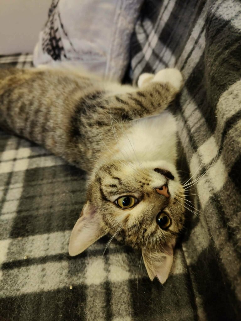 att.B3cLrBK1CoqltxZWSMF1JXnzLtDNupnjLVCg-3aTkDs