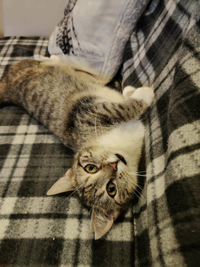 att.yJj0XaPMrXOdEf4oheXkfrNspxLy6RkZ829_5-WAuJ8