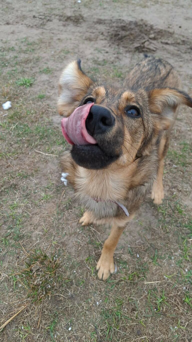 luna3